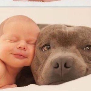 Meet your Posher, Jared